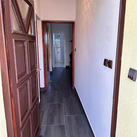 Apartman Nikola Salatic Экстерьер фото